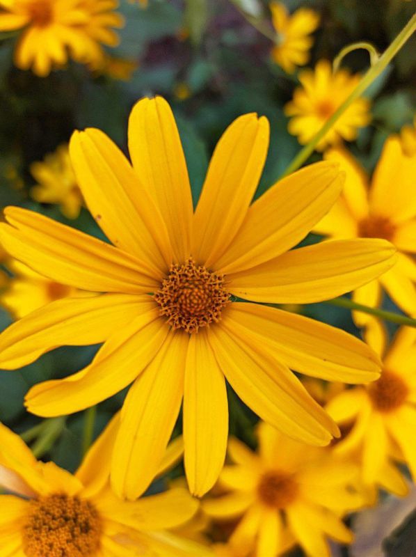 ������ ����, �����������!. �������� ����� ������������ ���� ������, ����� ����� ������� ������������ � ���������. �����...