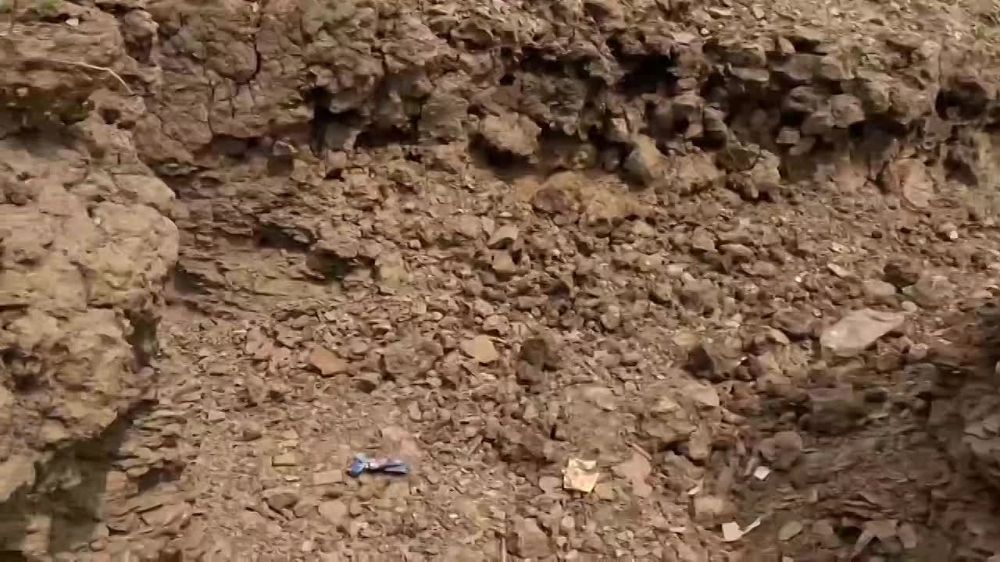 ���� �� �������: ���������� � ������ ���������� ��������