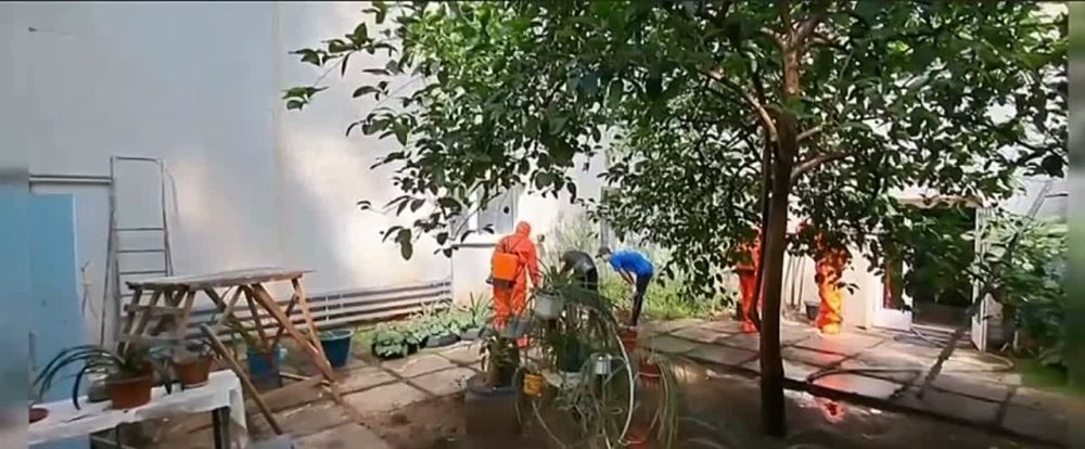 ���������� ��� ������ �������� ��������-����������������� ������ � ���������� �������