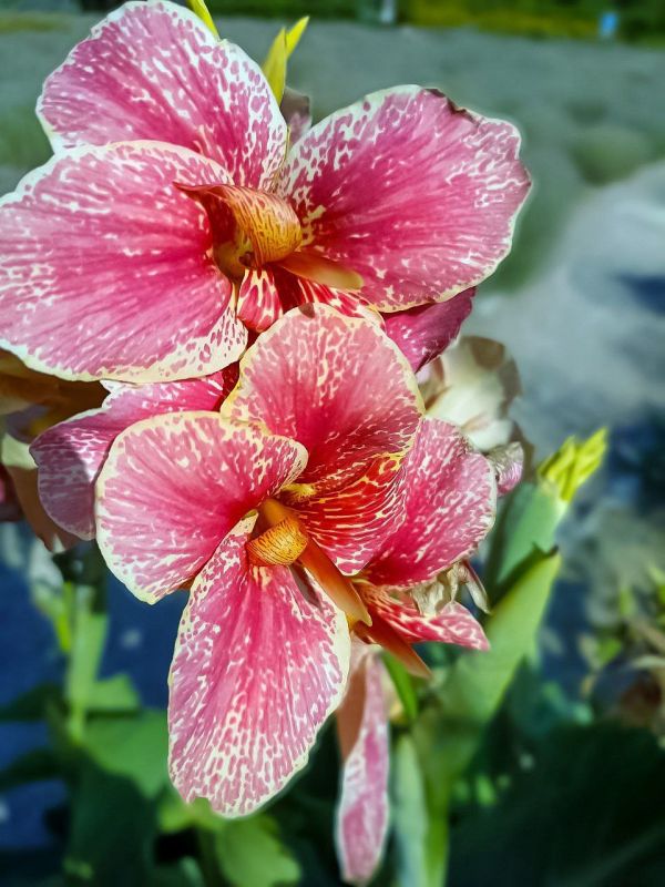 � ������ �����, �����������!