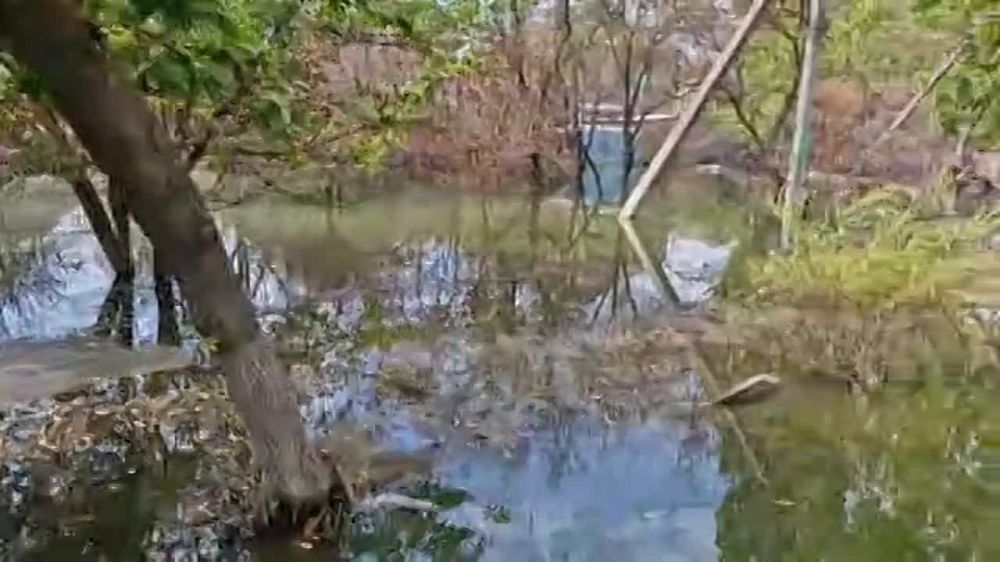 ������� �� ����� ��������