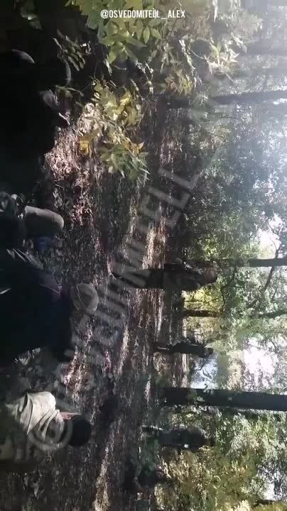 ���-�� �� ���������� �����������