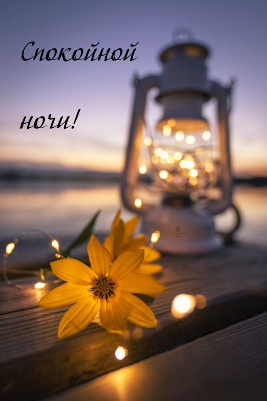 ������ ����. ������ � ������� ���� ���� ����� ��������� ����� ������. ��� �������. ����������� �� +18 ����� �� +28 ����