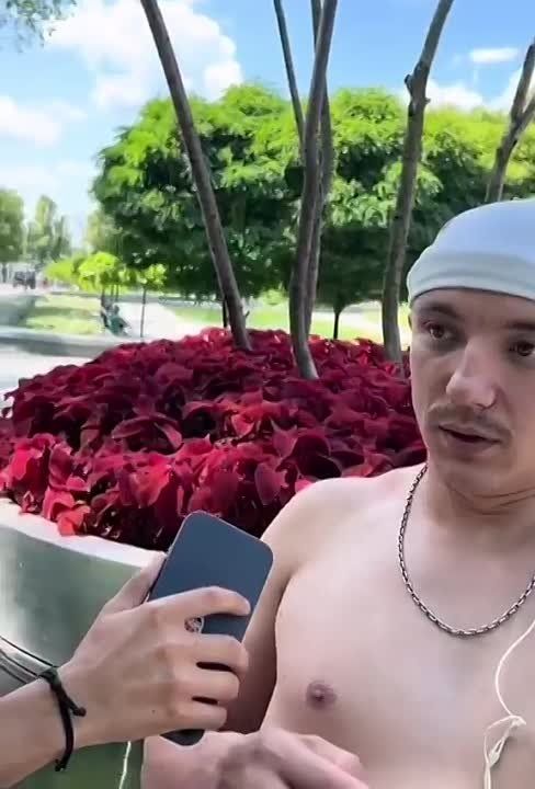 ����������� ����������� ������� (����) ����������������