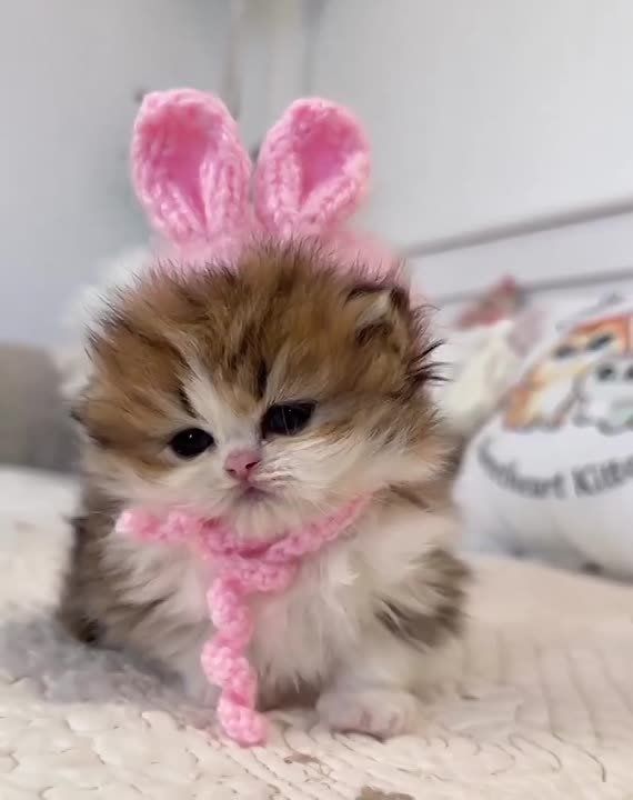 ��������, ������� ��������?! ������ ��� �����������, � �� � �� ���������������