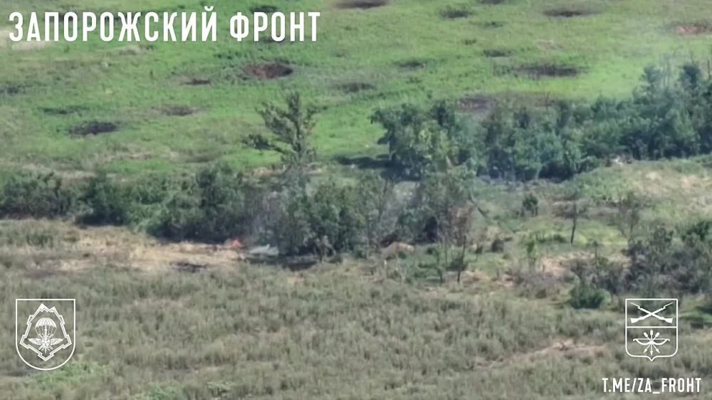 ����� ������ ������ ������� FPV-������ ���������� �������� "�����" �� ����������� ������ ���������� �� ����������� �����������