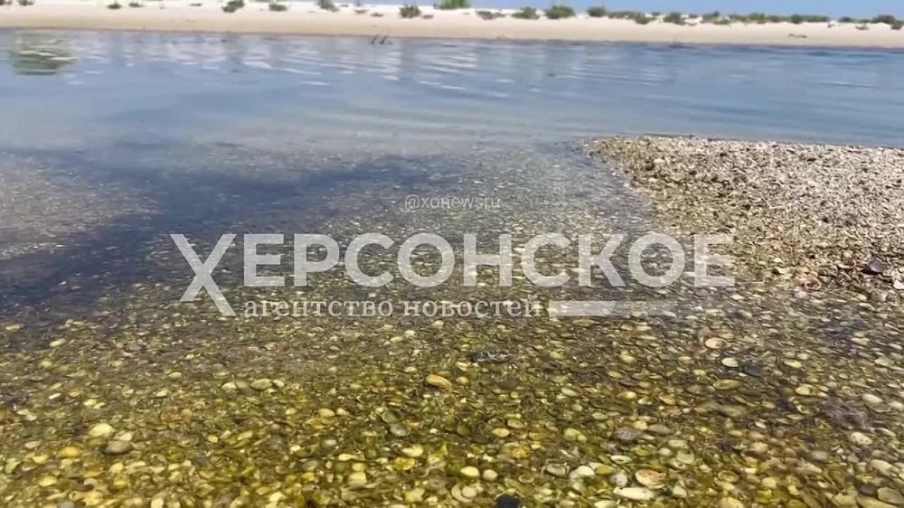 �������� �� ����� �� ������ ���������� �������