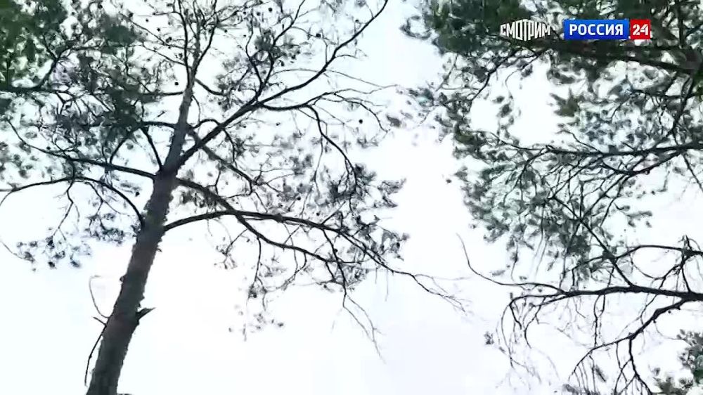 ��������� ������ ��������� ��������� ����� ����������� �� ���������