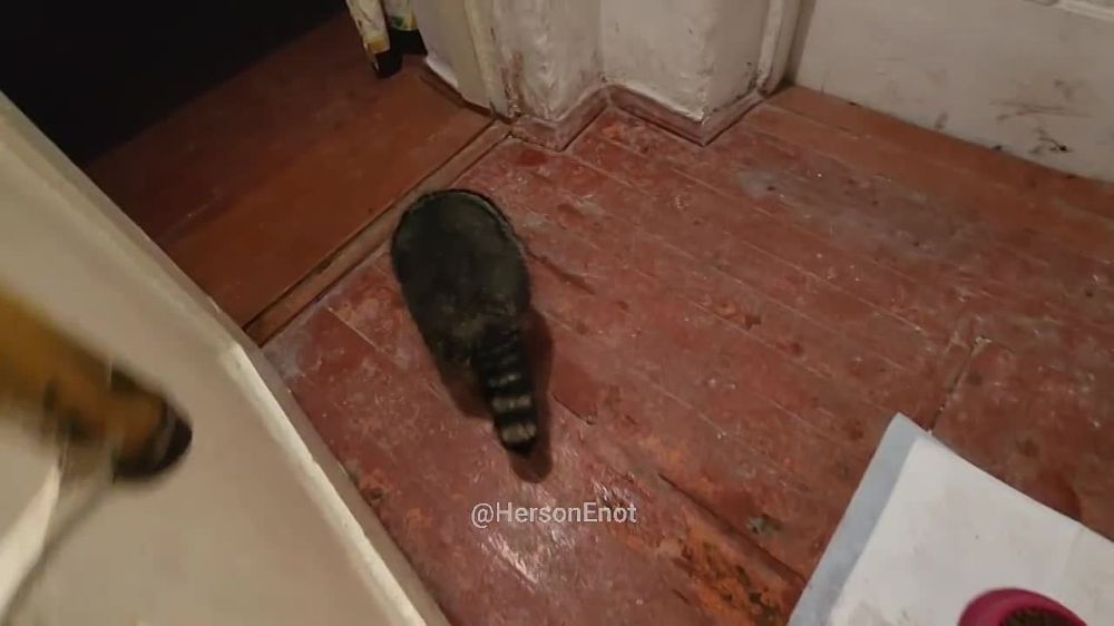 ���� �� �������: ������� ���� � �������� ���, ������!