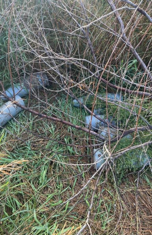 ����������� ���������� ����� � ������������ ����� � ����� ������������� ������ ���������� �������