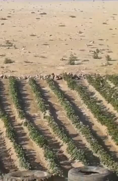 �� ��� ����������� ���������� ������������� ���� ������ ���������� ��������