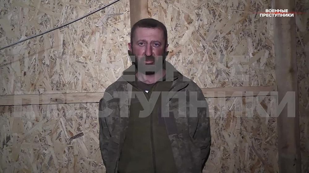 ������� ���������� ���� ������ ����� ��� ����������� �������� ������� 31 ������ 2023 ����, ������ � ������� 31-� ���� ���....