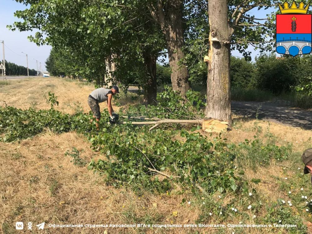 ����������� �����������������