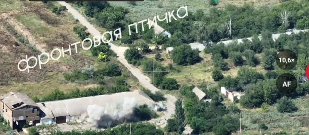 �� ������ ������ ��������� ������� ��� ����� �� ����� ������