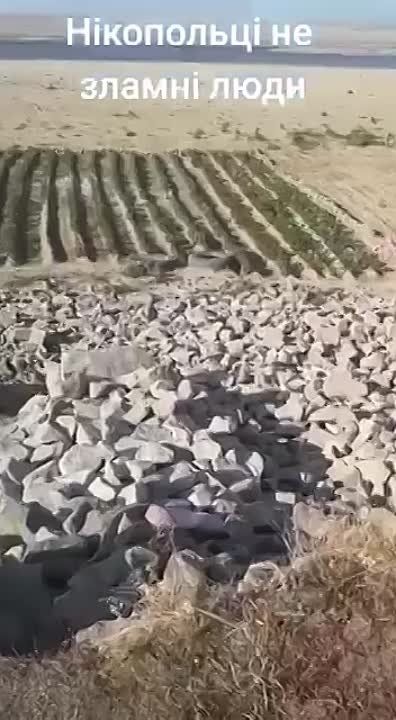 ���� ����: ������ ���� ��� �����. ����� ��� ��� �����. ��� ��������� ������������� �����, ��� � ����� ��� ���������. ���...