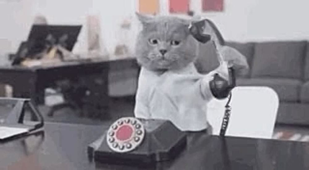 ����! �� ����� �����������, ����� ����� �� ������?