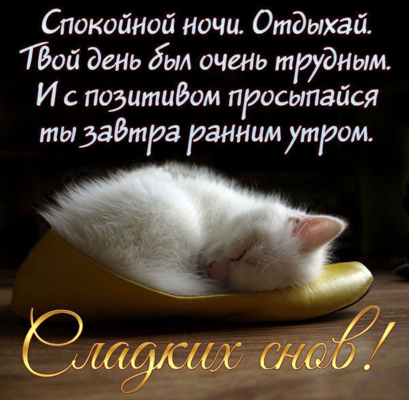 ������� ������, ������! ������ ���� ������ ���� � ������� �����������