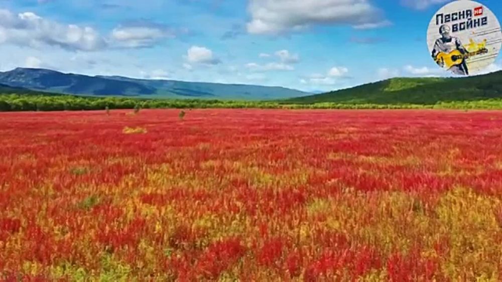 � "����� �� �����" � �������� ����� �� ������ �� ����� ���������� ������� � ���������� �����������