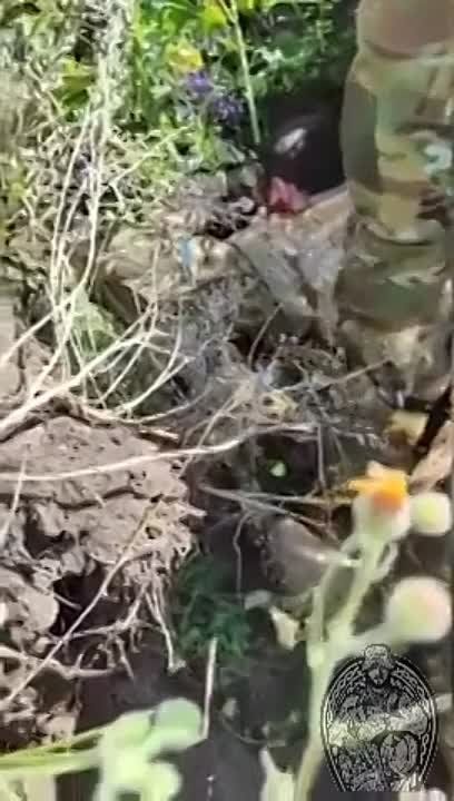 � �-�-�����, � ��� ������ ����������? ���