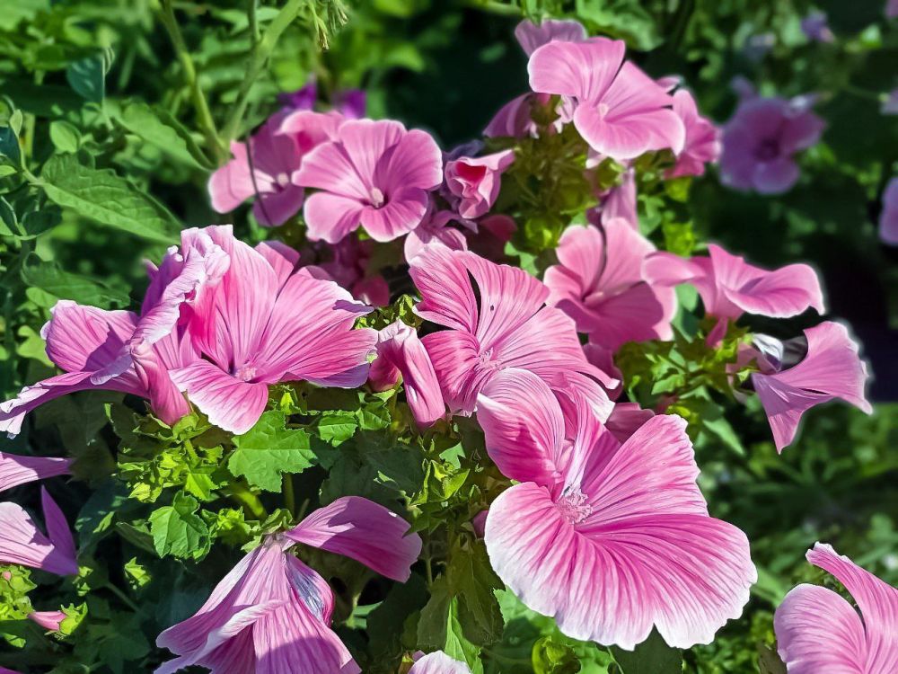 ������ ����, �����������!. ������ ������������ ������, ����������� ��������� ���������. ����� ������ ���� ������ ���������...