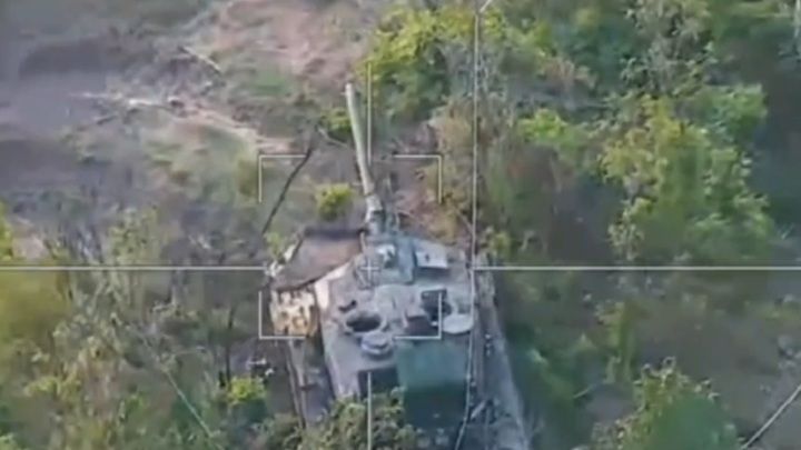 "�������" �������� ���������� ���, �������� ����, ������������ ���