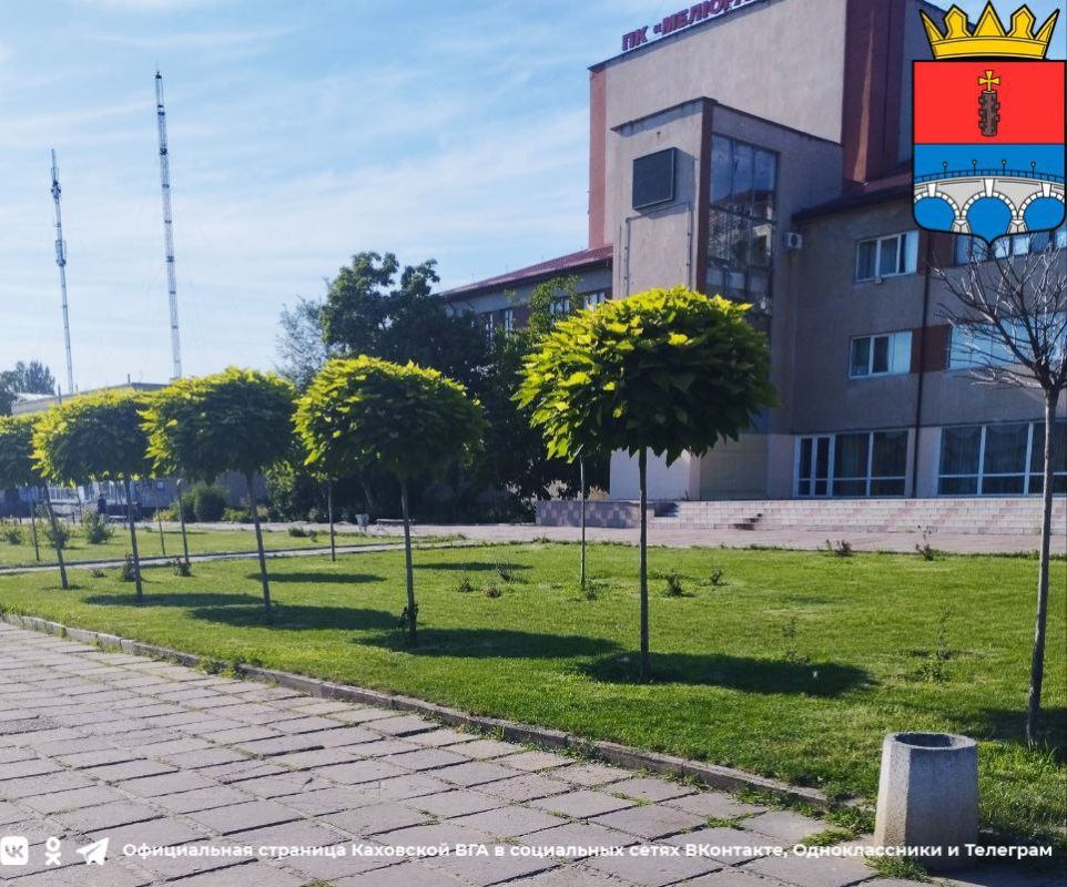 ��� ������������� ������ ������� �����������