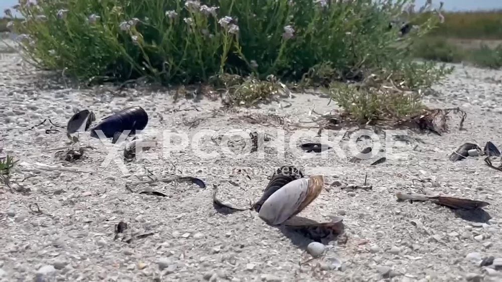 ����������� ������� ��������� ��������� ���� ����� �������