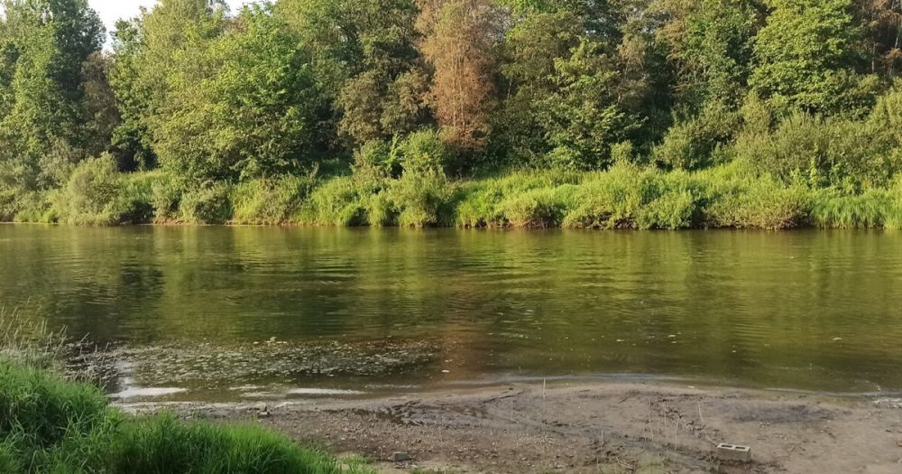 ����������� ������������ 44 ��������� ���������� � ������������� ������