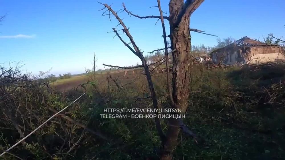 �� ������ ������ � ���� ������ ���������� ������� ����������� �������