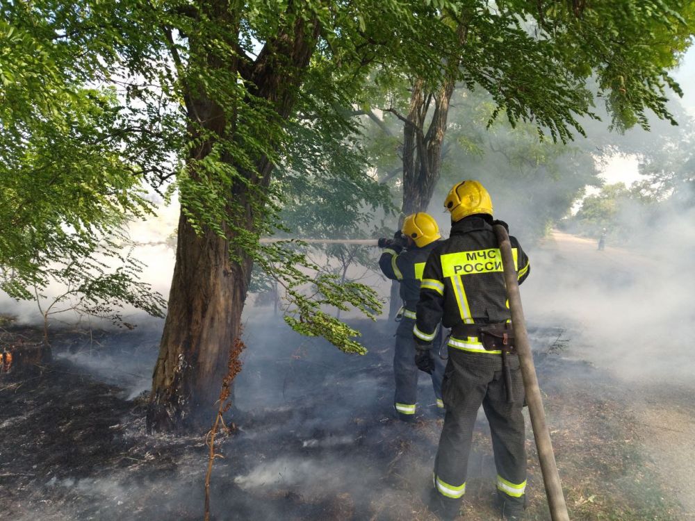 �� �������� ����� � ������� ���� ������������� 14 �������, ������� � �� ��� ������ �� ���������� �������