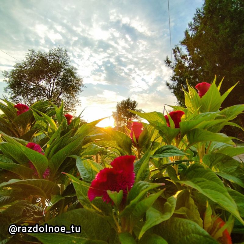 ������ ����! ����������!. ������, ����� ��� �������� ����� �������, �����, ���������� ���������� � ��� ����� ����, ��� ��-���������� ����������!