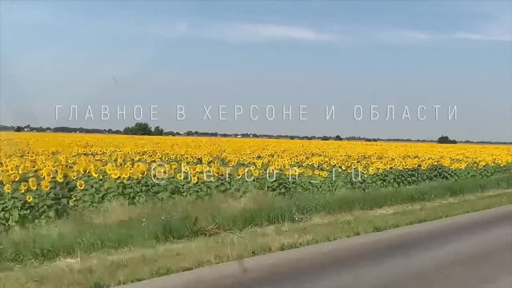 ������������ ���� ����� ���������� � ������� �����������