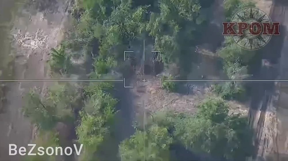 �� ���������� ����������� ������ �������� ���� ����� �� 80-� �������������� �������