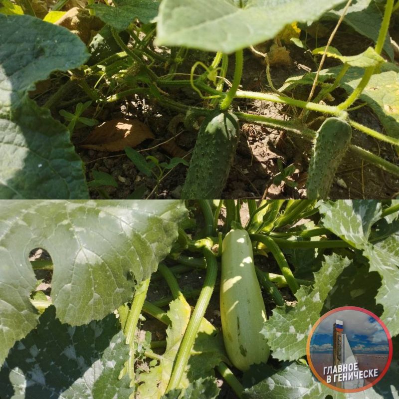 � ���������� ������ ���������� � ����� ������ � ��� ������� ������� 500 ���� ������ ������