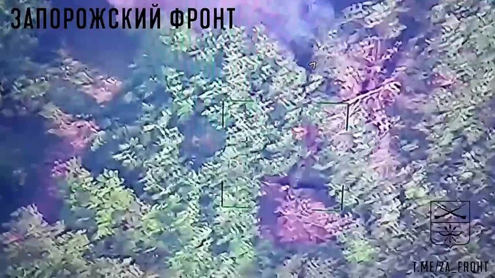 292 ��� 58 ����� ��������� ��������� ��� ��� �� ����������� �����������