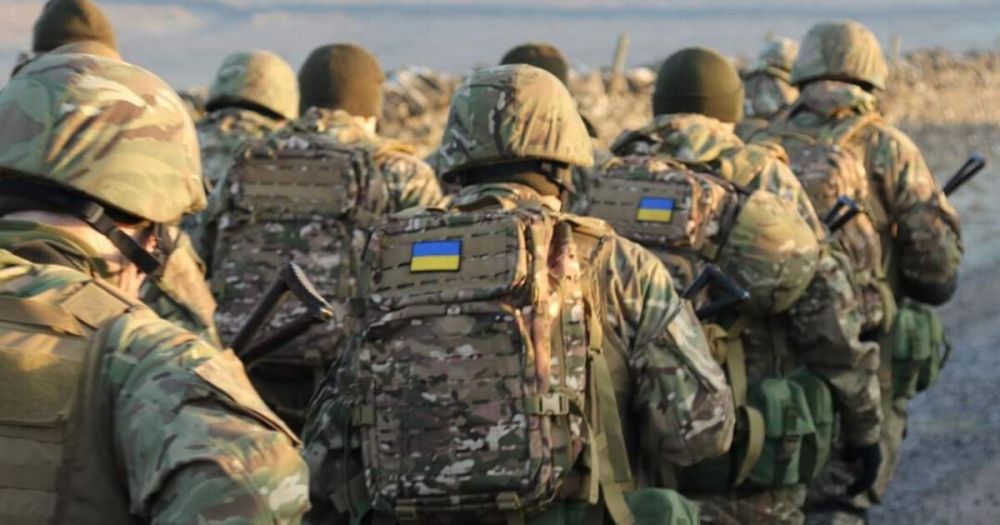 ���� ����������� � 39 �������� ������������� �� ��������� �����������