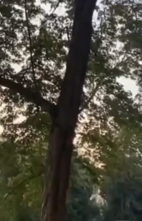 ����� ��������� �������� �������