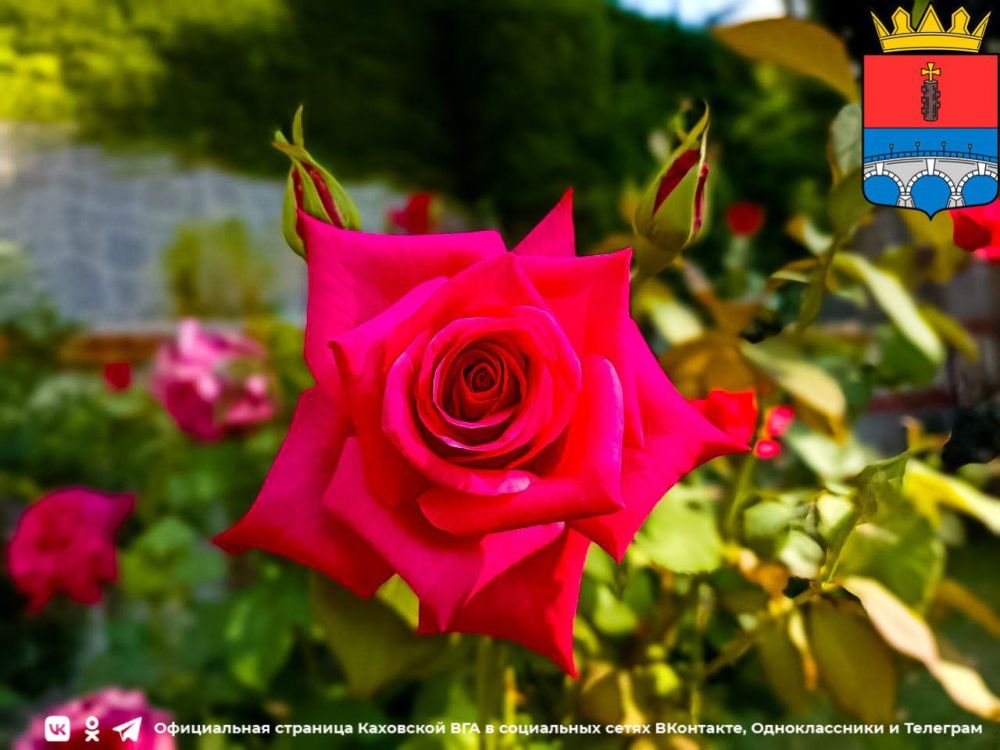 ������ ����, �������!. @VGA_Kakhovka