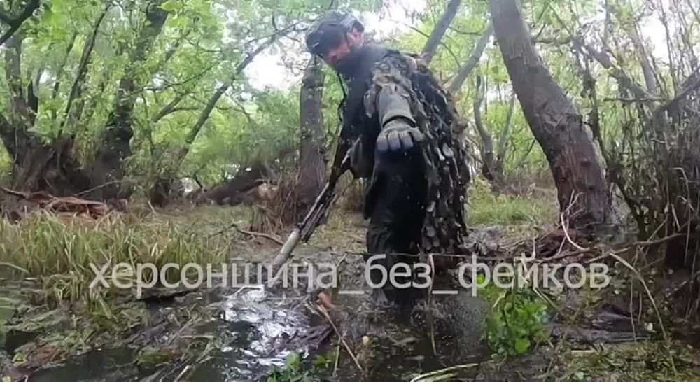 ������ ������ ������ 80-� ��������� (�����������) �������������� ������� ����������� ����� ������ �� ���������� �����������