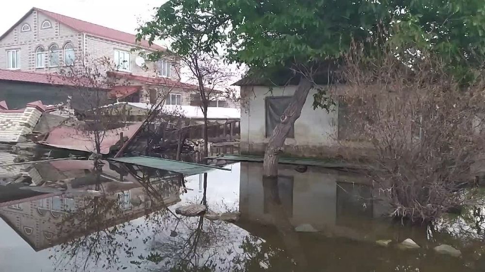 ����� ������, ������� ��-�� ������� ��������� ���, ����������� ��������� ���� ��� ����, ������������ � �����