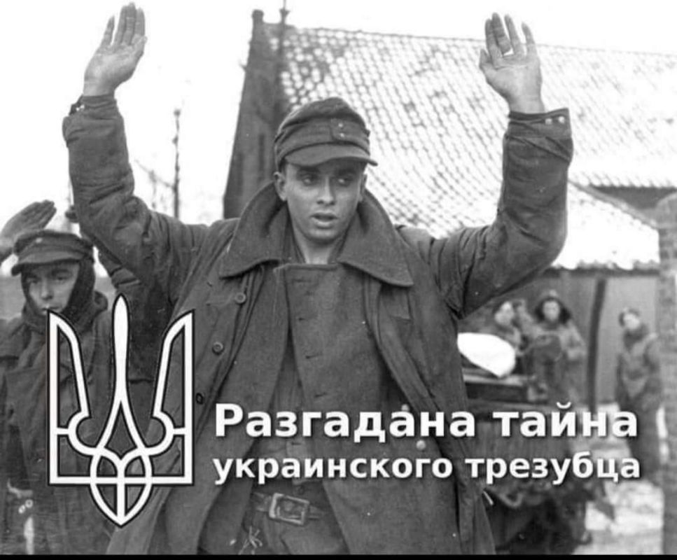 � ����� �.�.�.