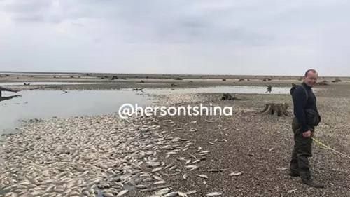 � ���� �������� �������� ��������� ������