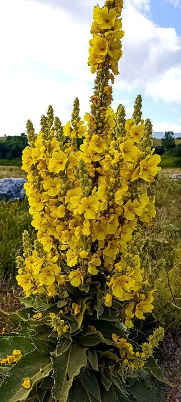 ������ ����, �����������!. ����� ����� �������� ������ ������ ������ ����������, ������� ����������� � ������� ����� ���������� � �����. ����� ������� ������, ����� ����� ���� � ������������. ����� ��� ���� �������� ����� � �������������