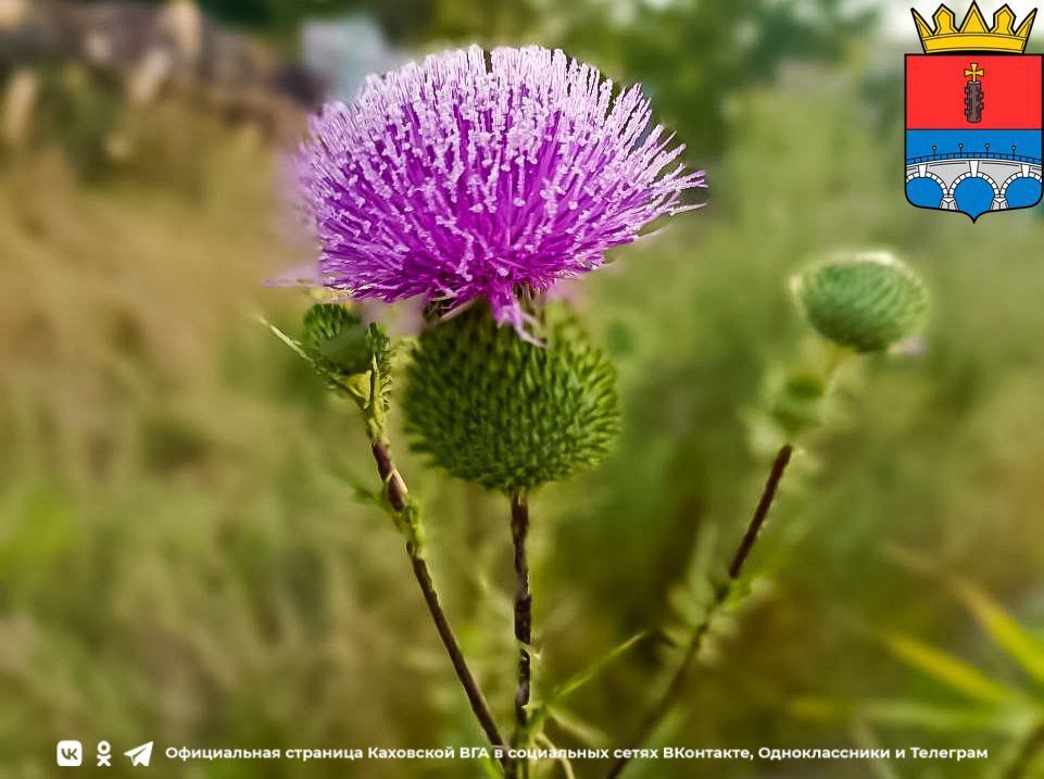 ������ ����, �������!. @VGA_Kakhovka