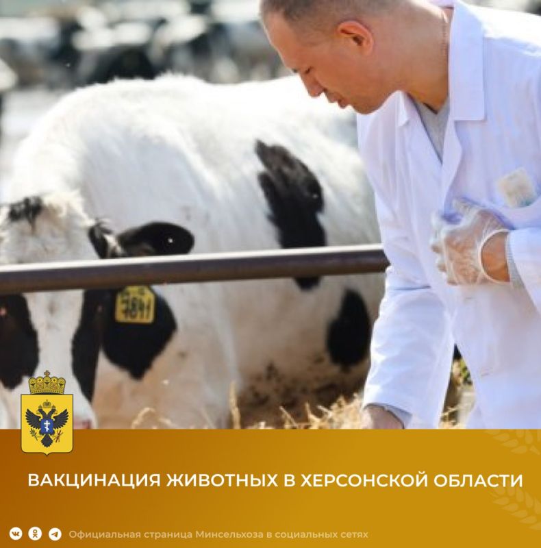 � ���������� ������� �������� ���������� �������������������� � �������� ��������