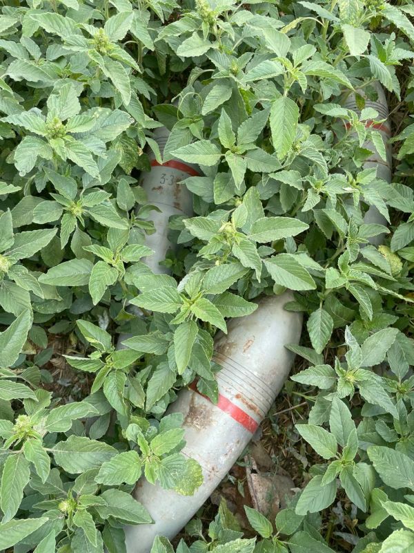 � ���������� ������� ��������������� ������� � ���������� ����� � ������������