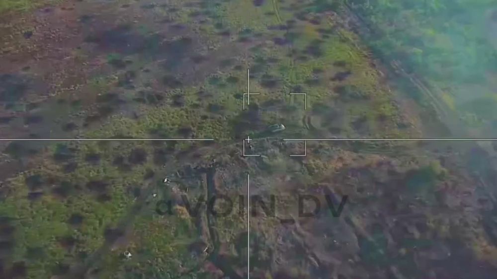 ������ �������� ����������� ��������� �������, ����������� �� ����� ������, �� ����������� [V]