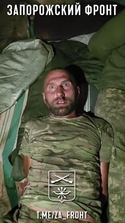 ����������� �����������: ��������� ���������� ��������� � ����������� �.�. ��������