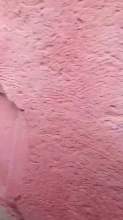 ����� �� ����� ��������� �������: ������� �������