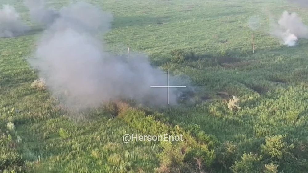 ���� �� �������: ����� ������������� ����� ���������� �������� �� ��������